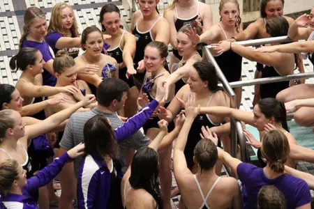 swim and dive