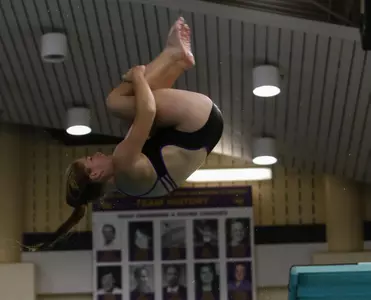 Taylor Hogan