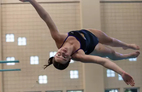 Abby Hutchins Dive (2023-24)