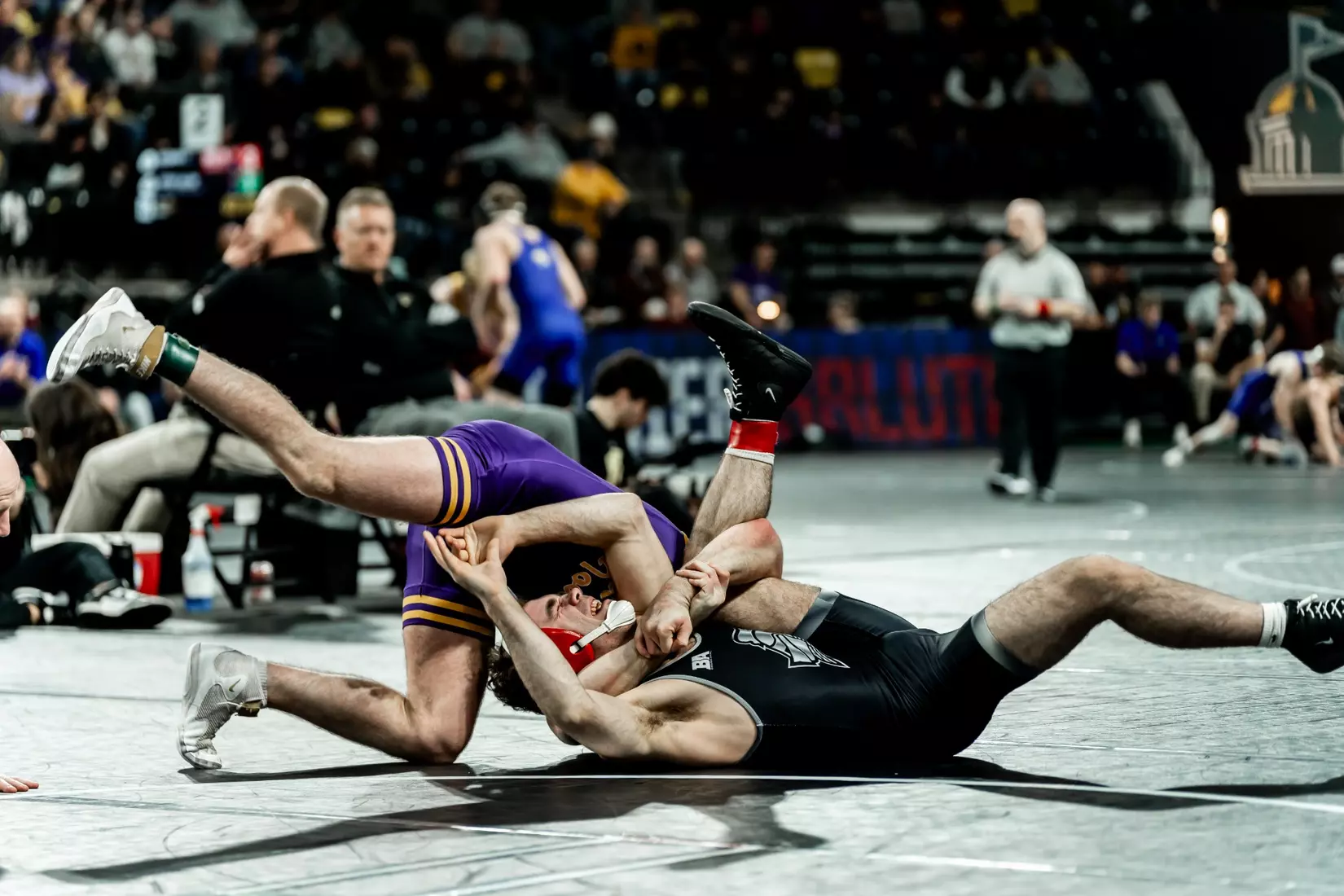 UNI wrestling at 2024 Soldier Salute | Dec. 29-30, 2024 (Coralville, Iowa)