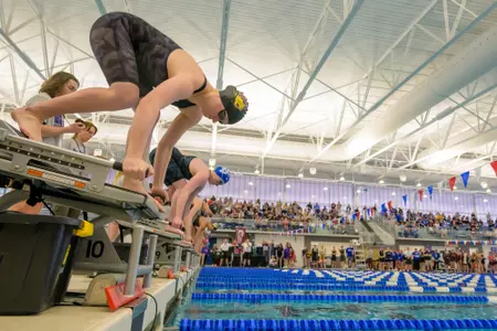 UNI swimming & diving at 2024 MVC Championships | Feb. 21-24, 2024 (Evansville, Ind.)