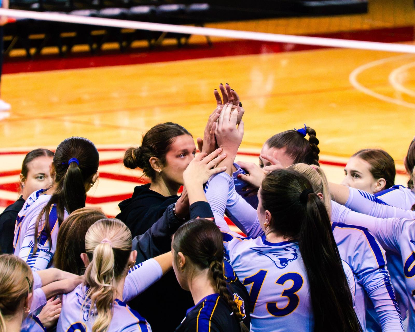 Photo: bvmsports.com UNI Volleyball Sweeps Bradley: Panthers Extend Win Streak to Five