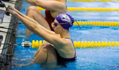 UNI swim and dive heads to Evansville for MVC Championships Image