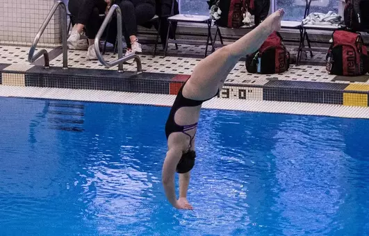 Hogan punches NCAA Zones ticket at UNO Diving Invite