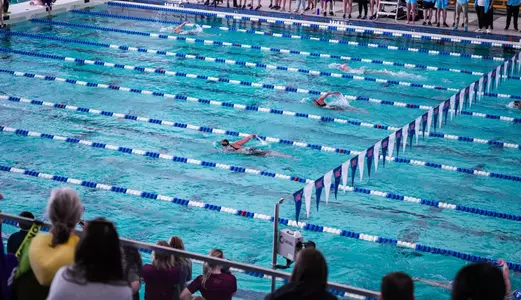 UNI swim and dive: Six named to MVC Scholar-Athlete Team Image