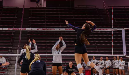 Panther volleyball powers past Air Force in four sets Image