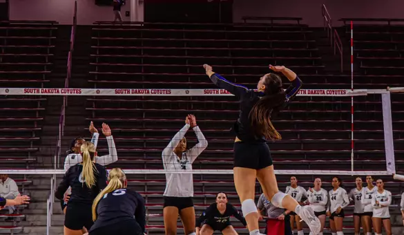 Panther volleyball powers past Air Force in four sets