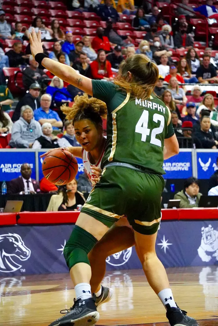 UNLV Lady Rebels