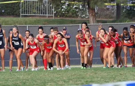 UNLV cross country had four harriers named to the Fall Academic All-Mountain West Team.