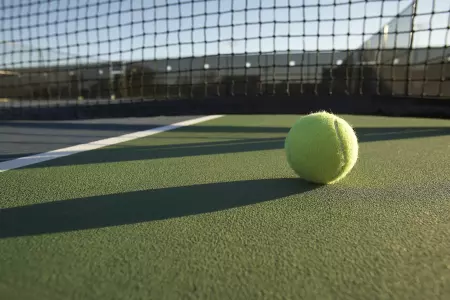 Tennis Art