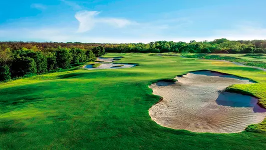 Trinity Forest