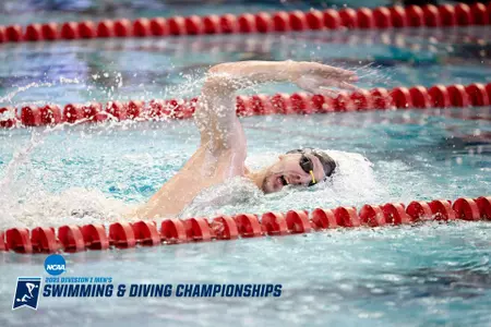 Vuk Celic NCAA Championships