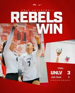 Volleyball Wins