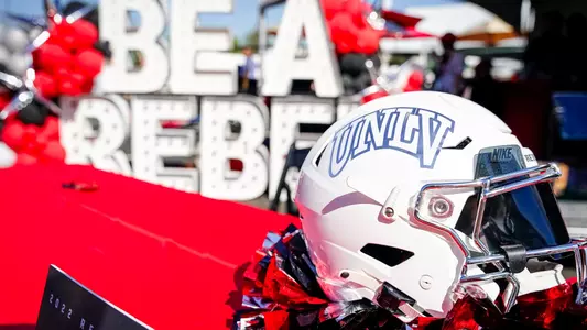 Helmet Art