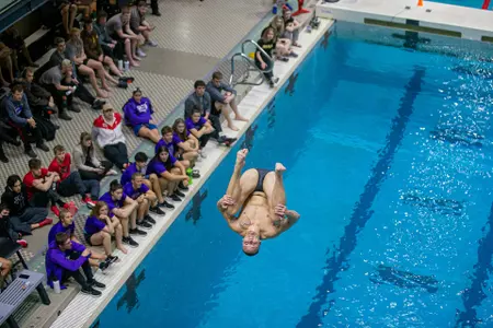 Men's Diving Dima Tereshchenko