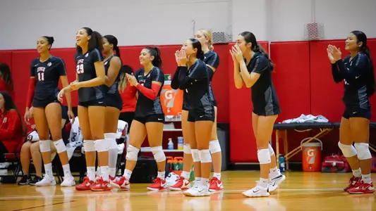 Volleyball team