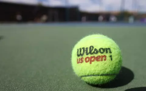 Tennis Ball Art