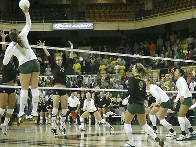 Team Volleyball, 2007