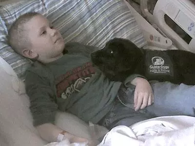 Donations Sought for UO 'Duckling' at WSU Hoops Game