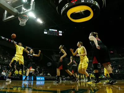 Matt Arena, WBB 2011-12 vs. Cal State Northridge Dec. 19 Credit Eric Evans