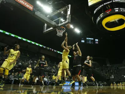 Matt Arena, WBB 2011-12 vs. Cal State Northridge, Dec. 19, 2011 Credit Eric Evan
