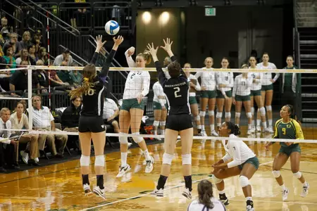 Alaina Bergsma, 2012 Oregon Volleyball, Photo by Eric Evans, Copyright 2012.