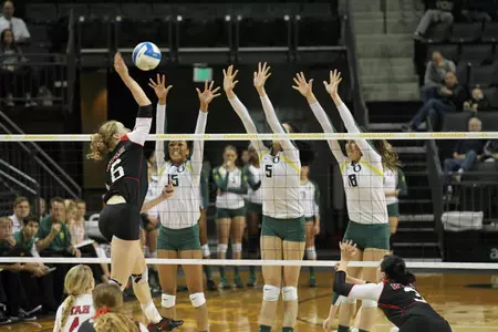 Serena Warner Action 2013