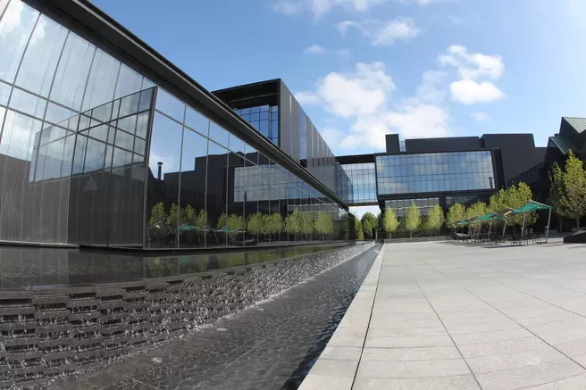 Ducks Reimbursing Football Players' Insurance Premiums