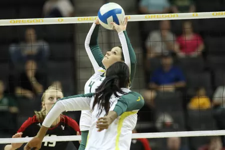 Lauren Plum Action 2013