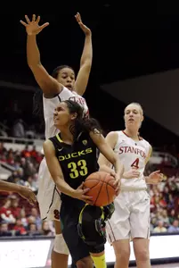 Lexi Petersen at Stanford 13-14