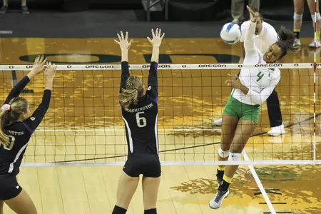 ShebbyFrankieAction2014 (2).jpg