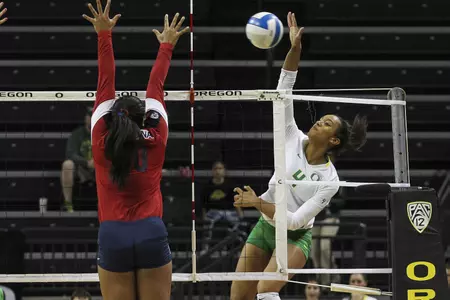 Frankie Shebby Action 2014