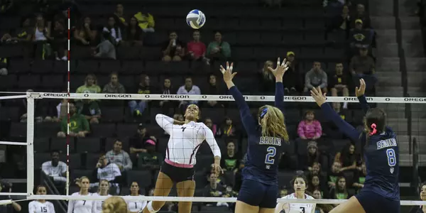 Frankie Shebby Action 2015