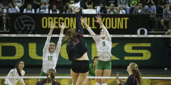 Volleyball Stanford