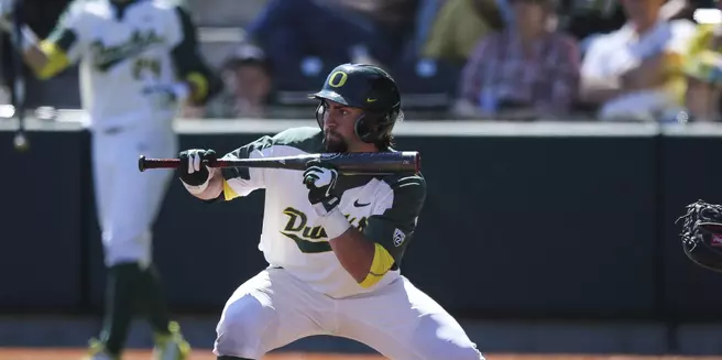 11 Ducks Playing Summer Ball