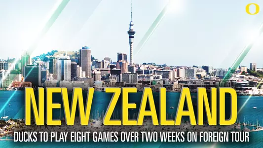 Ducks in New Zealand graphic 2017