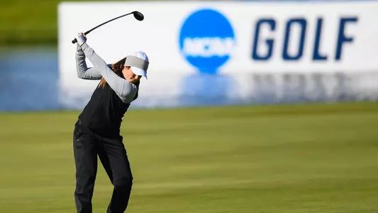 Scavo NCAAs