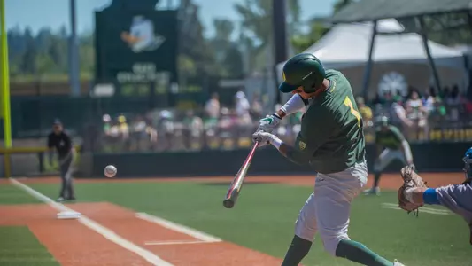 Ducks drop regular season finale Image
