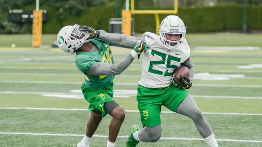 Verdell Stiff Arm Spring