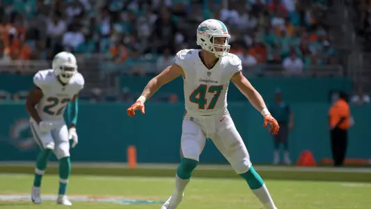 Alonso_Dolphins
