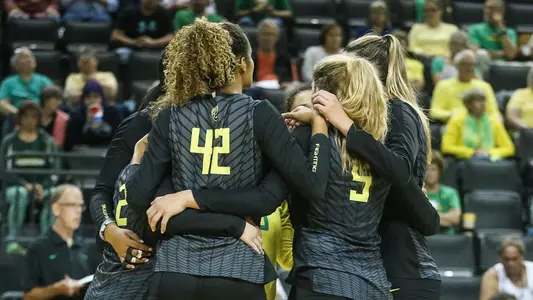 Volleyball team huddle