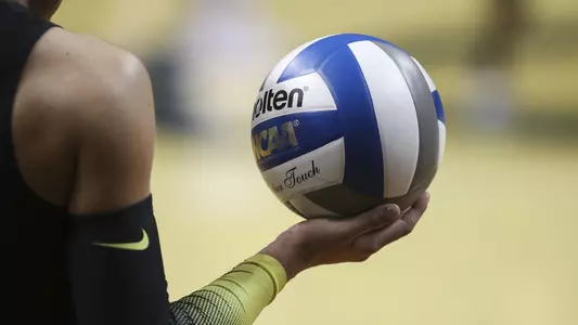 Volleyball generic