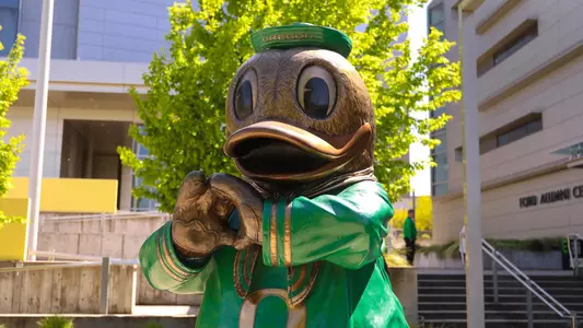 Bronze Duck