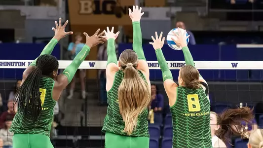 Ducks Block
