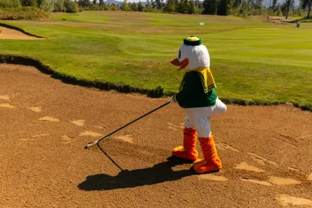 duck golf