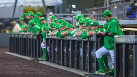 Team - Dugout