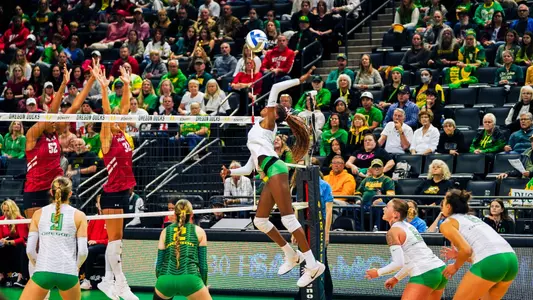 Alanah Clemente Swing