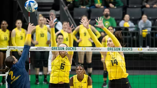 Ducks Drop Home Finale to Michigan Image
