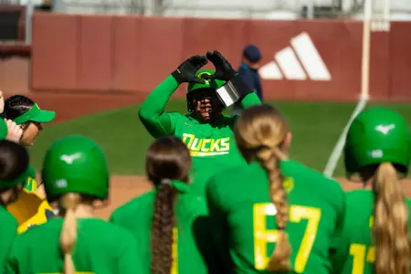 Ducks Take Two in Tempe Image