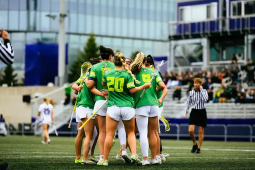 team at northwestern